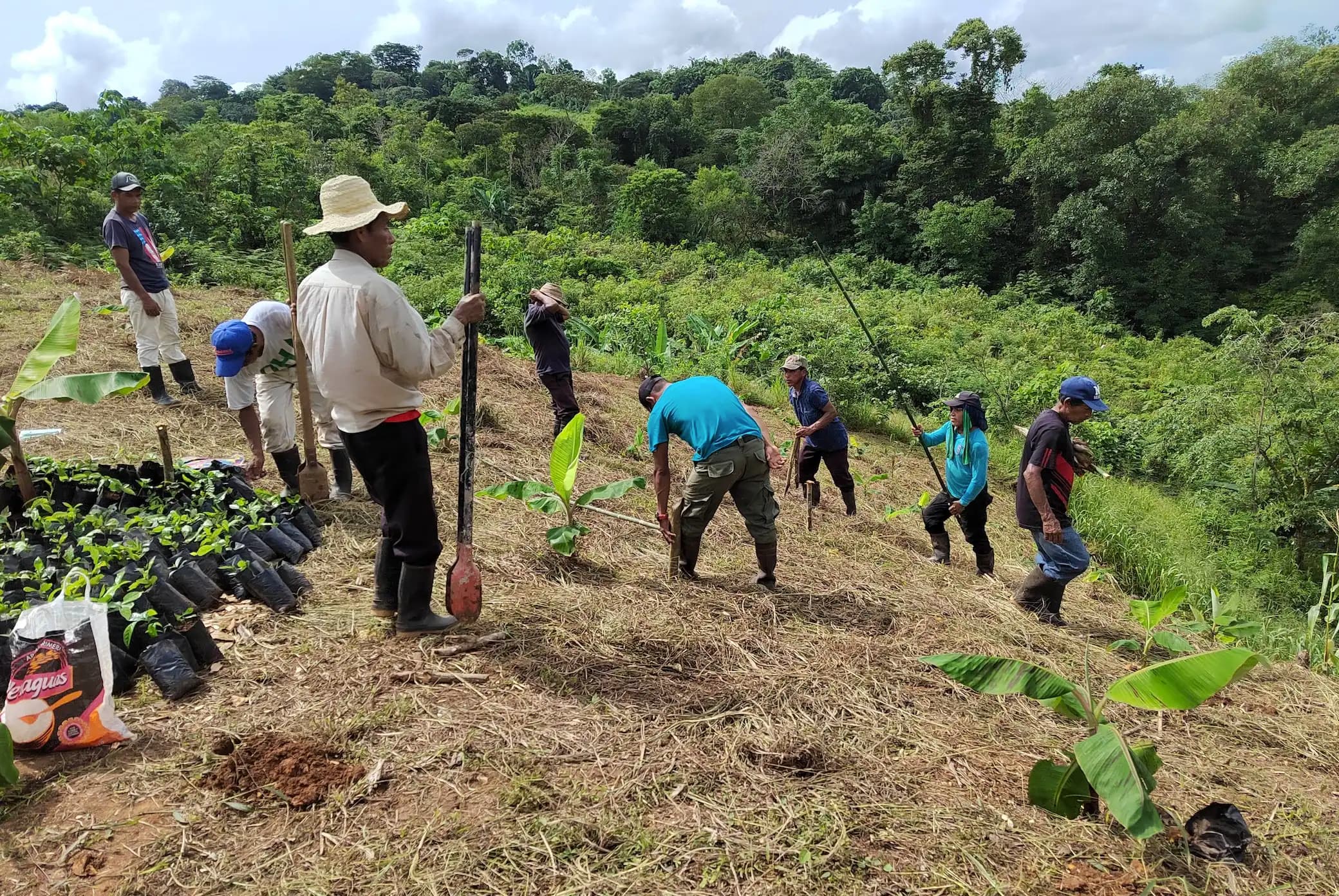 Agroexportadores, ¿En peligro de extinción?